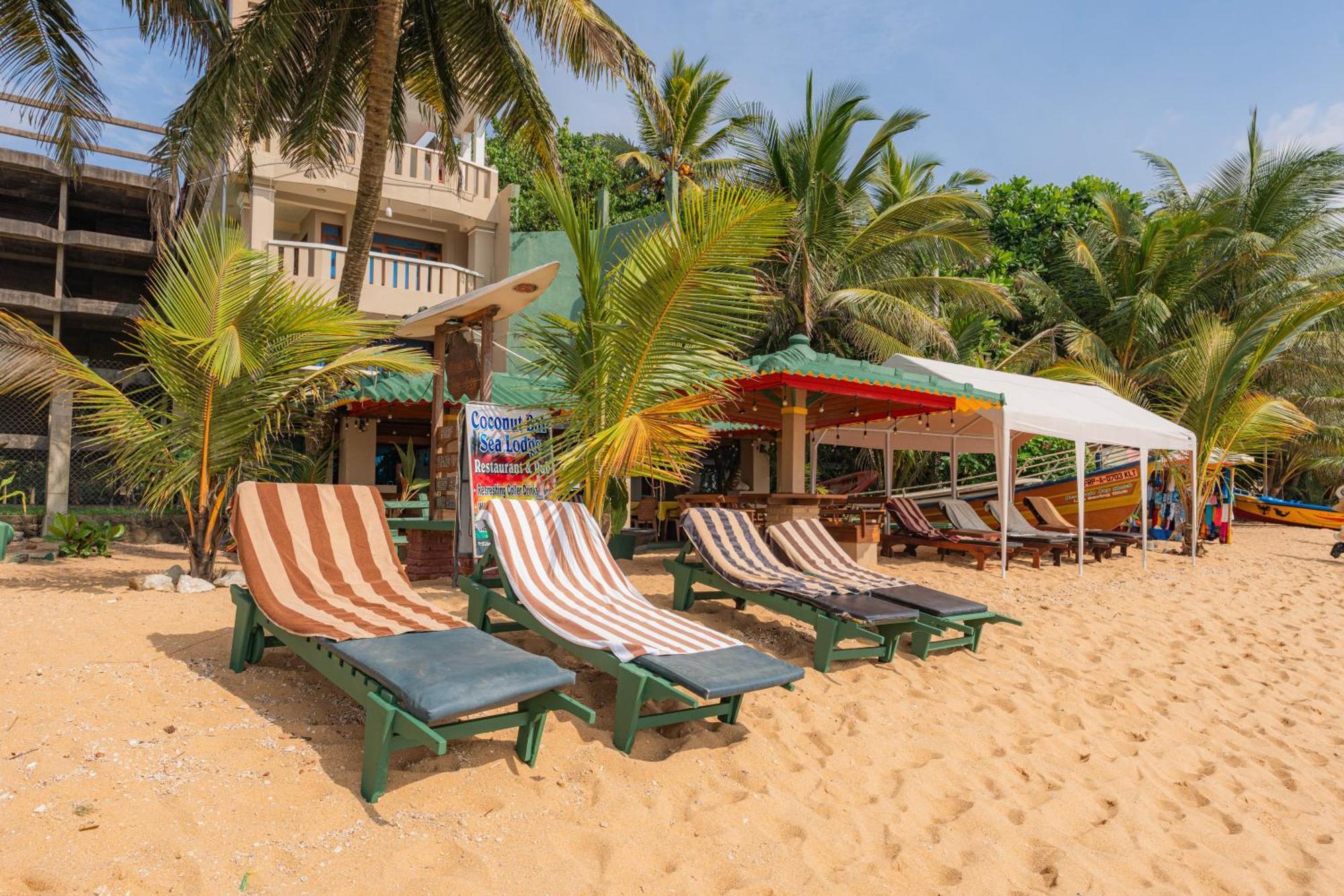Hotel Coconut Bar Sea Lodge Beruwala Buitenkant foto