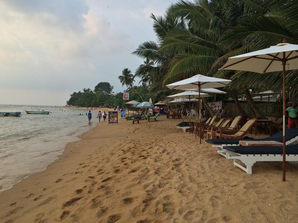 Hotel Coconut Bar Sea Lodge Beruwala Buitenkant foto